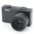 SIGMA DP3 Merrill
