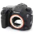 SONY α99