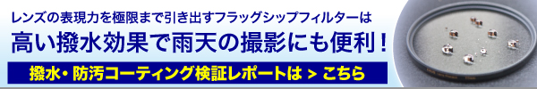 EXUS検証レポート