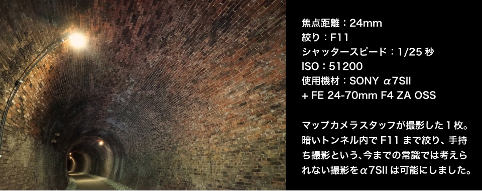 高感度撮影写真