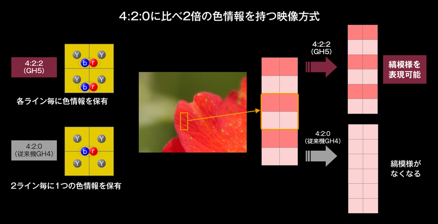 Panasonic GH5 インタビュー Part4