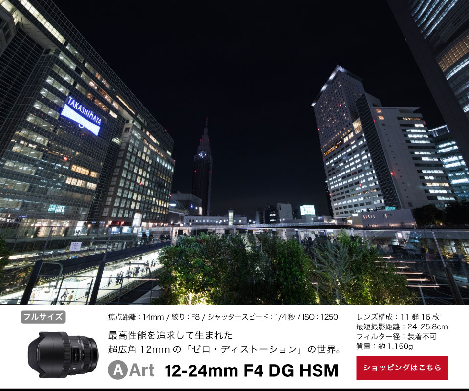 Art 12-24mm F4 DG HSM
