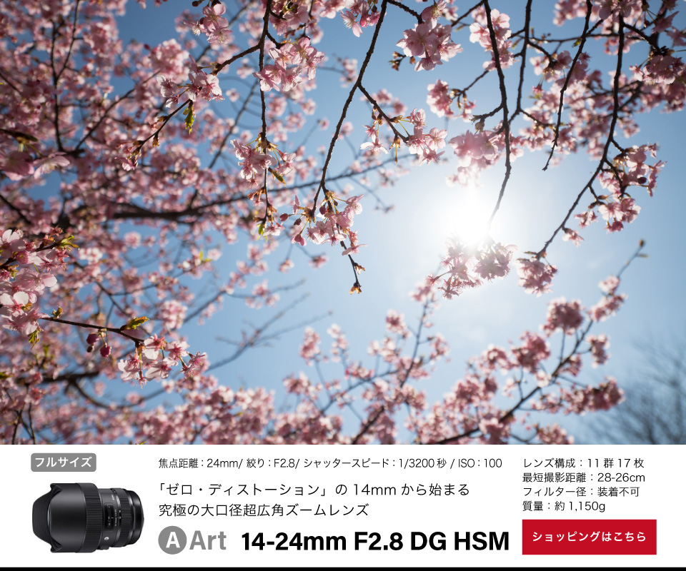 Art 14-24mm F2.8 DG HSM