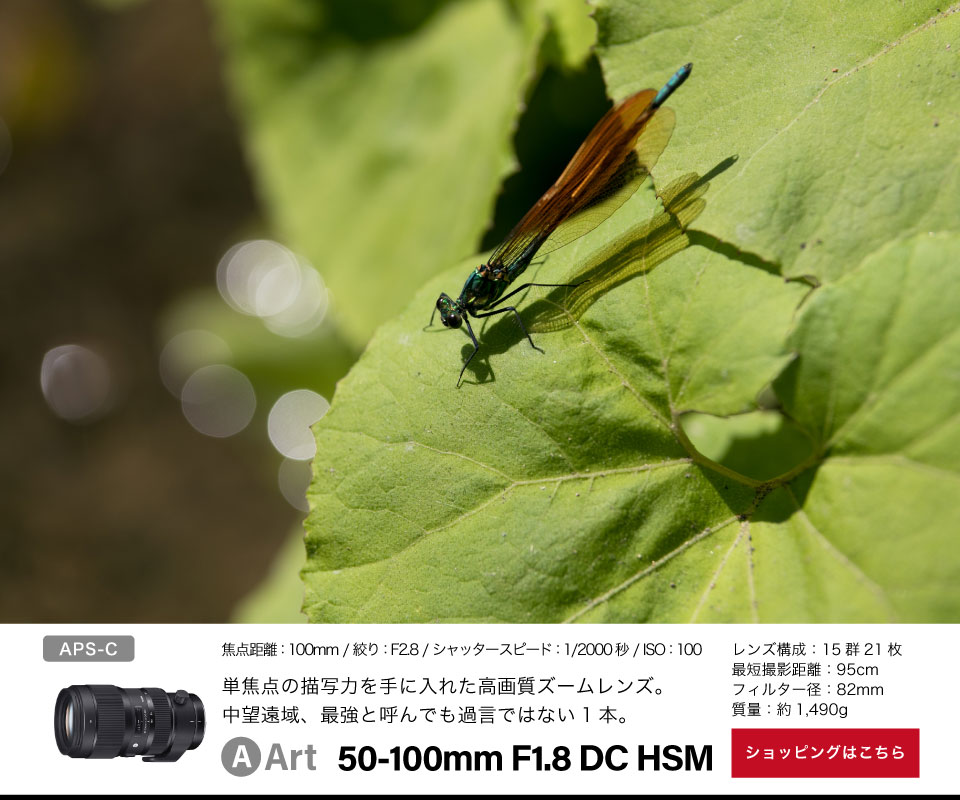 Art 50-100mm F1.8 DC HSM