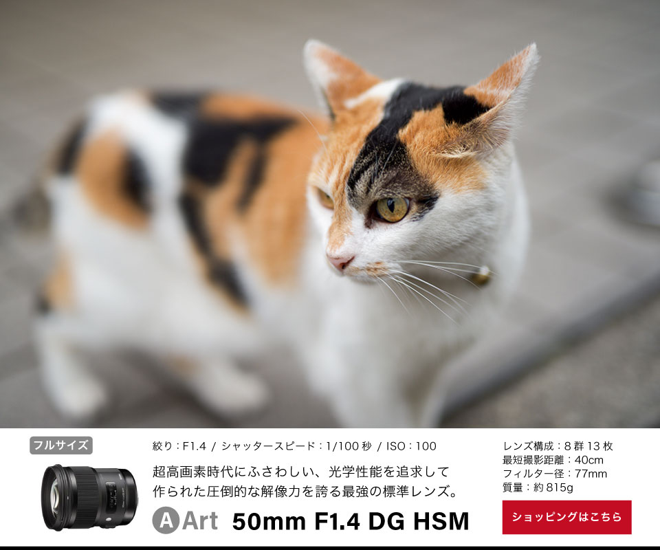 Art 50mm F1.4 DG HSM