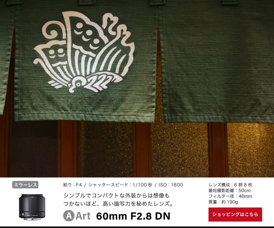 Art 60mm F2.8 DN