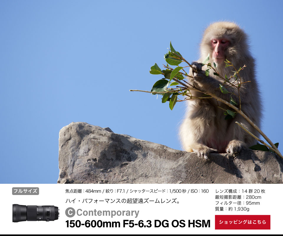 Contemporary 150-600mm F5-6.3 DG OS HSM