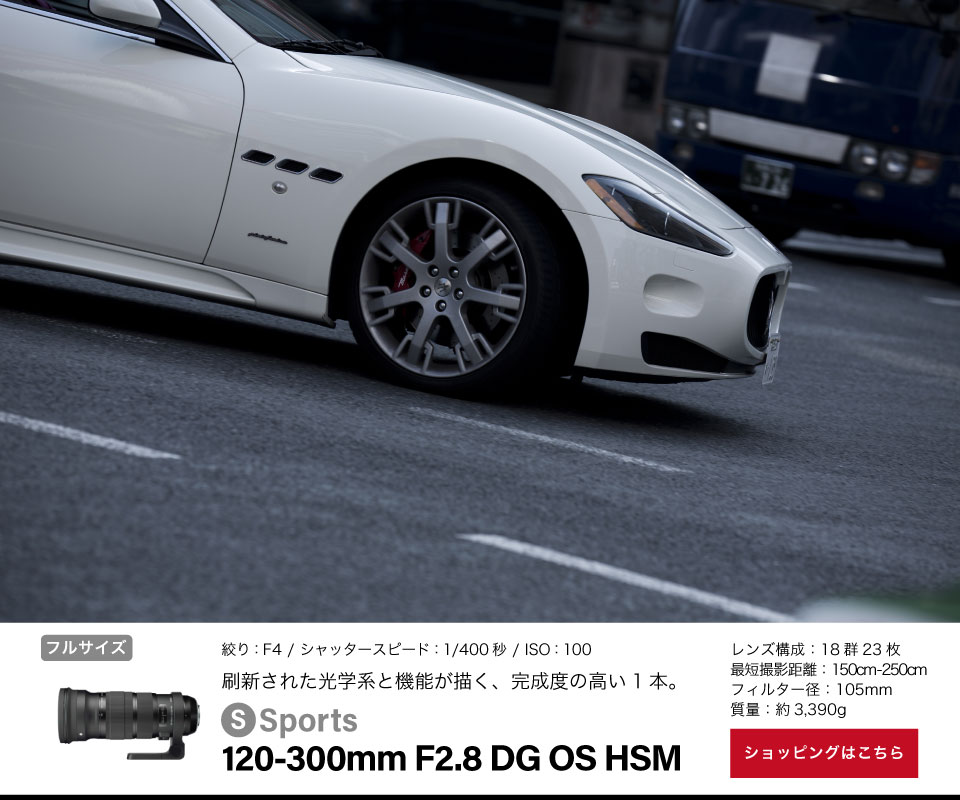 Sports 120-300mm F2.8 DG OS HSM