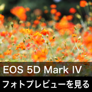 Canon EOS 5D Mark IVフォトプレビューはこちら。