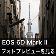 Canon EOS 6D Mark II フォトプレビューはこちら