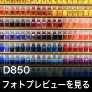Nikon D850 フォトプレビュー