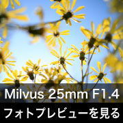 Carl Zeiss (カールツァイス) Milvus 25mm F1.4 ZF.2フォトプレビュー