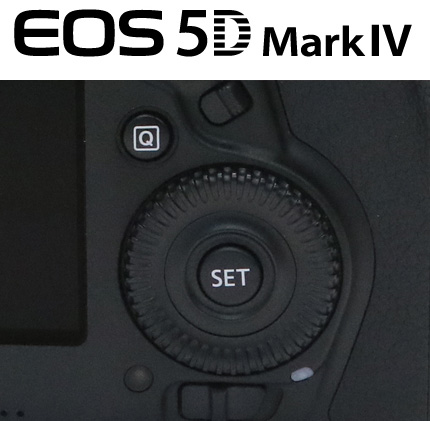 キヤノンフルサイズ3000万画素対決「EOS R」VS「EOS 5D Mark IV 