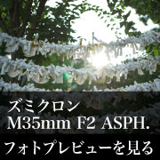 Leica ズミクロン M35mm F2 5thフォトプレビュー
