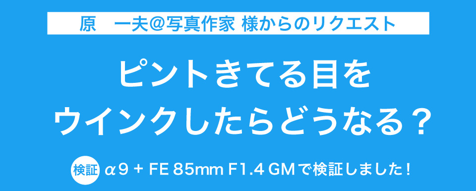 ツイッター連動企画