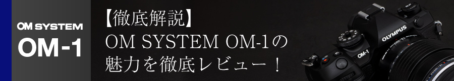 OM SYSTEM OM-1