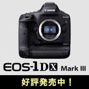 Canon (キヤノン) EOS-1D X Mark III