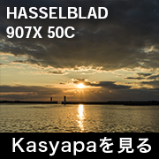 HASSELBLAD 907X 50C フォトプレビュー
