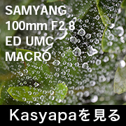 SAMYANG 100mm F2.8 ED UMC MACRO