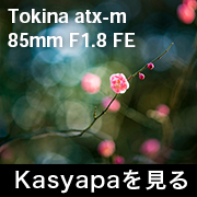 Tokina atx-m 85mm F1.8 フォトプレビュー