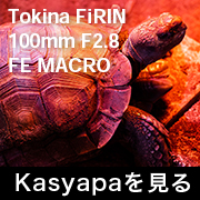 Tokina FiRIN 100mm F2.8 FE MACRO フォトプレビュー
