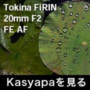 Tokina FiRIN 20mmF2 FE AF フォトプレビュー