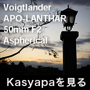 voigtlander APO-LANTHAR 50mm