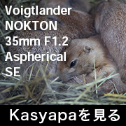 voigtlander_Nokton_35mm F1.2
