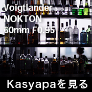 voigtlander_Nokton_60mm F095