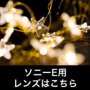  ソニーE用レンズ