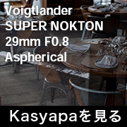 voigtlander_supernokton_29mm F0.8