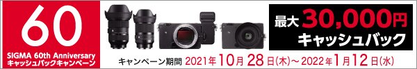 SIGMA 60th Anniversaryキャッシュバックキャンペーン