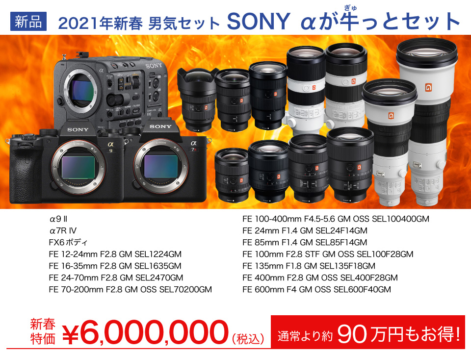 SONY αが牛っとセット