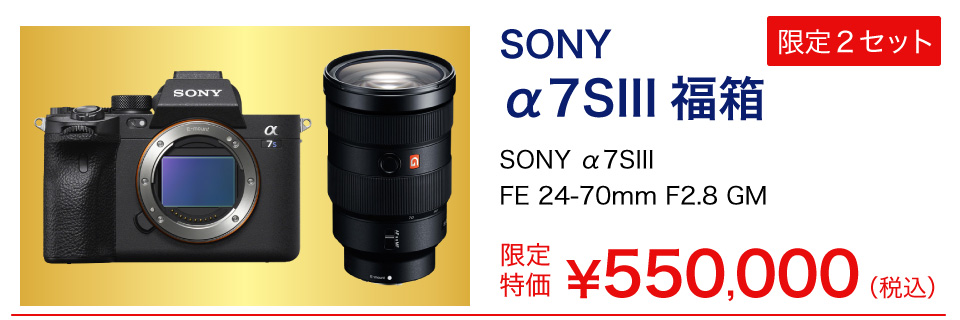 SONY α7SIII