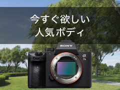 今すぐ欲しい人気ボディ