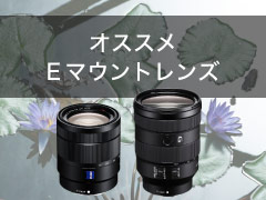 オススメEマウントレンズ