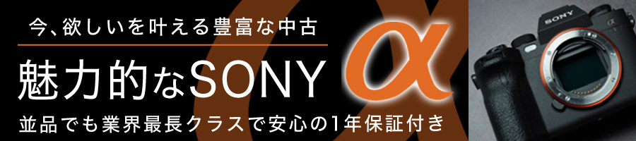 魅力的なsony