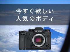 今すぐ欲しい人気ボディ