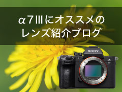 レンズ紹介ブログ