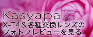 カシャパ