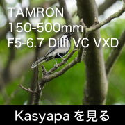 TAMRON 150-500mm F5-6.7 DiIII VC VXD フォトプレビュー