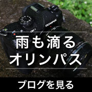 雨も滴るオリンパス