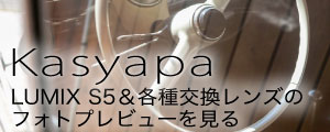 カシャパ