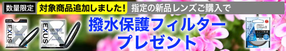 撥水フィルタープレゼント