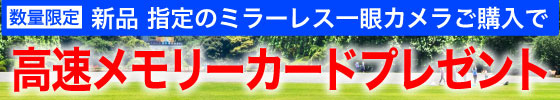 メモリカードプレゼント
