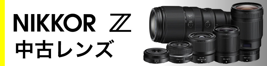 Nikon Z Body