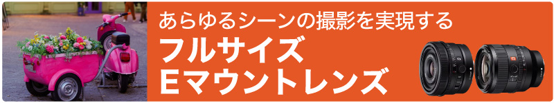 FEレンズ