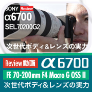 Review動画