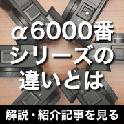 a6000_hikakku180