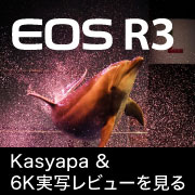 EOS R3 Kasyapa